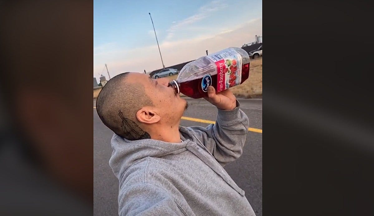 Fleetwood Mac Love the Skateboarding Guy Drinking Cranberry Juice