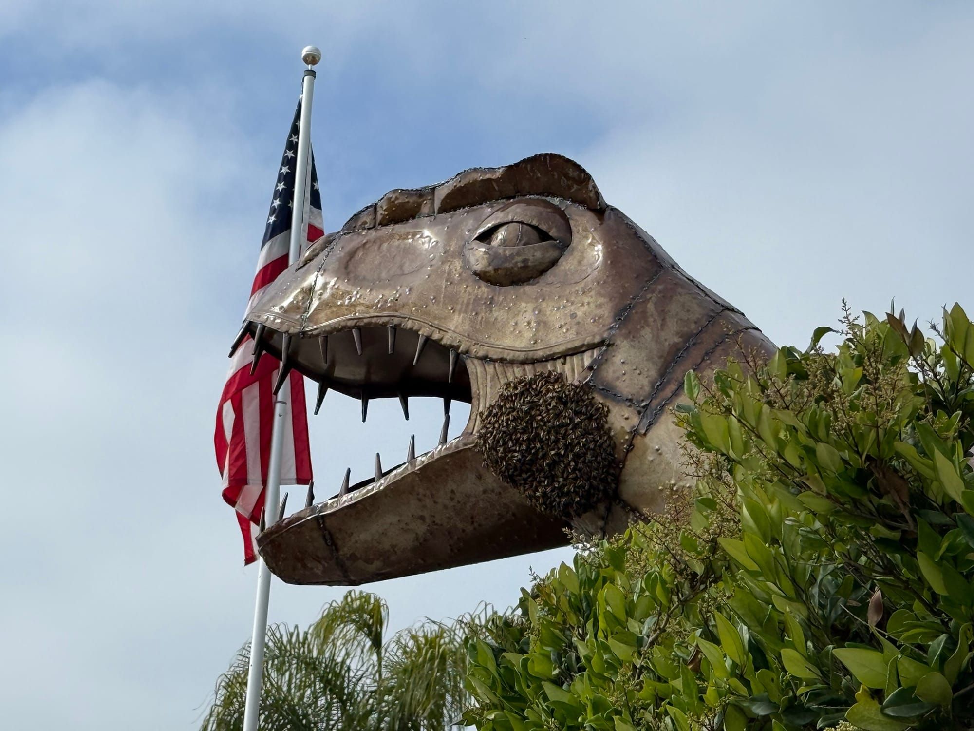 Coming Back to America