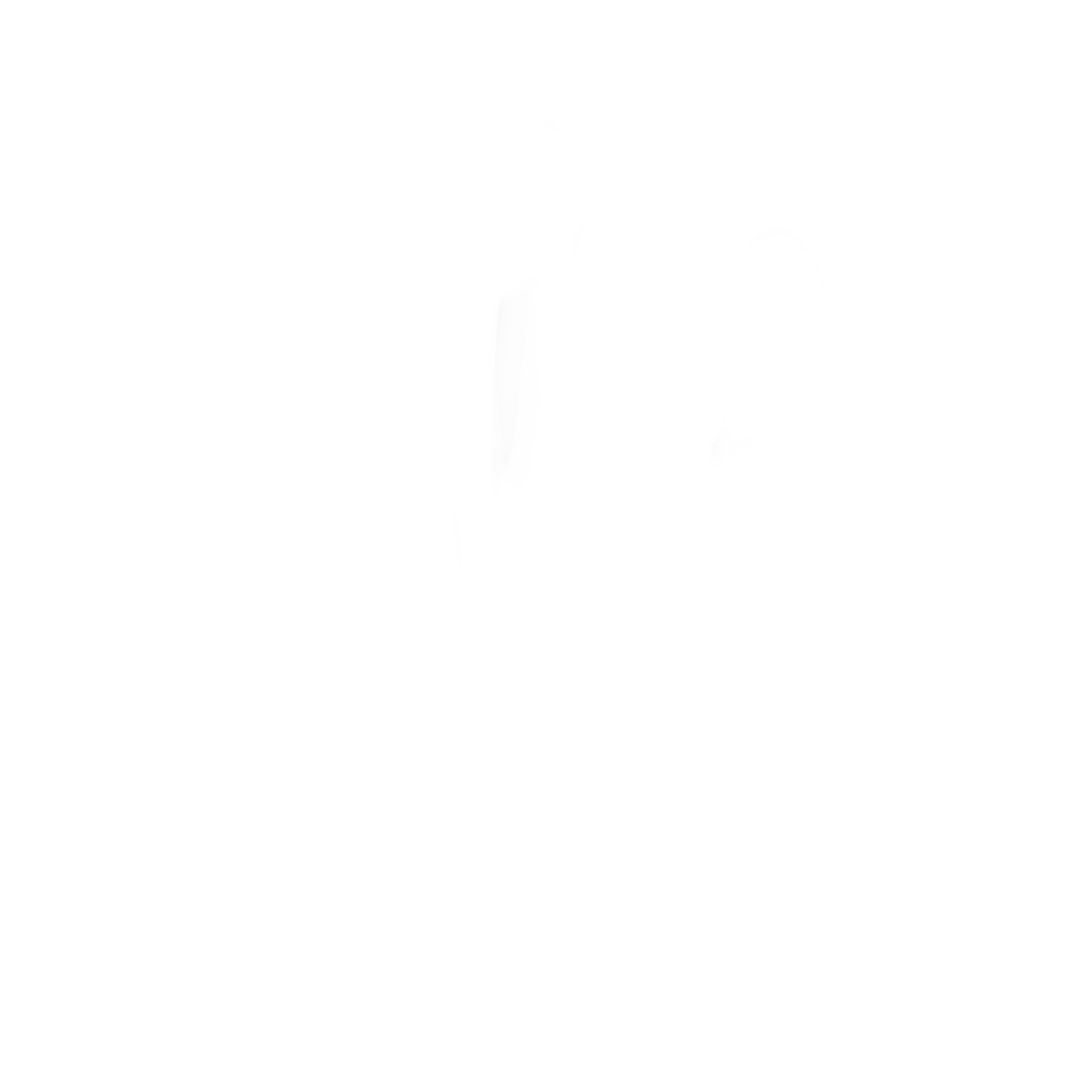 🌵 Garden Cactus Records