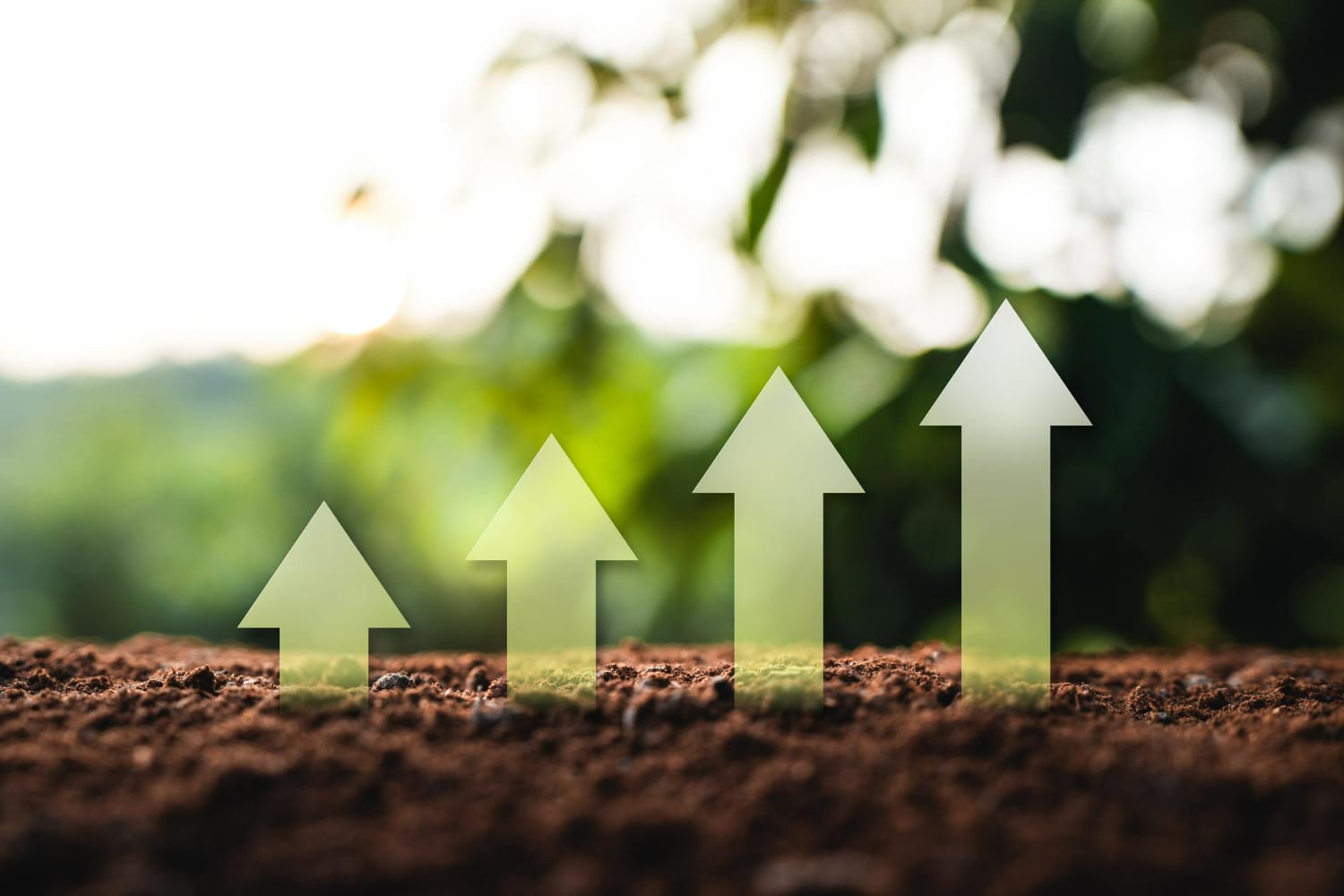 흙으로 덮인 대지 위에서 성장을 상징하는 초록색 화살표가 우상향하며 자라는 모습. 