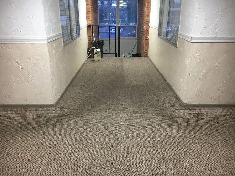 How to Avoid Carpet Trails