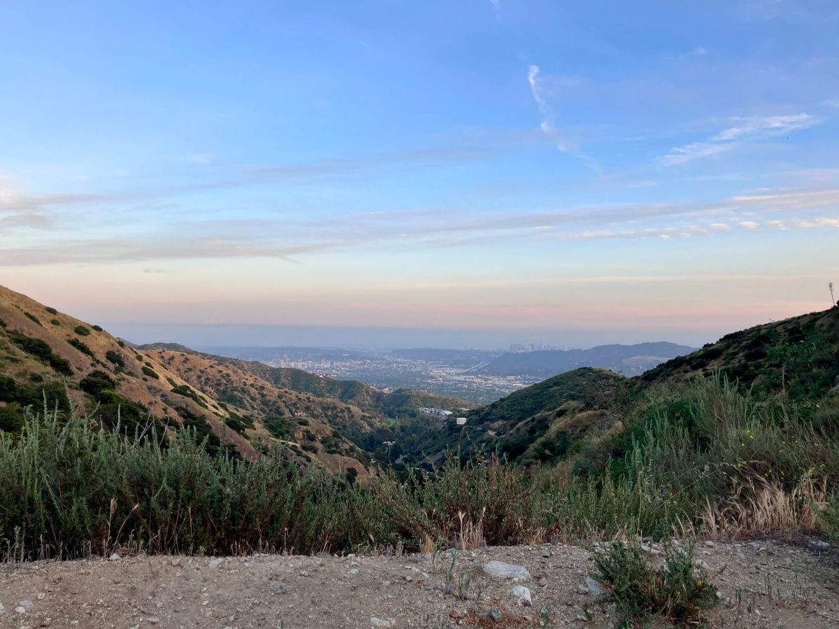 Covenant Church — Morning & Evening Worship: August 16, 2026