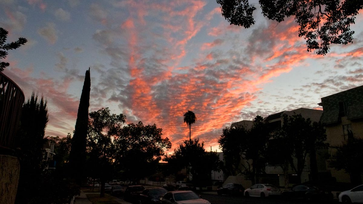 Covenant Church — Morning & Evening Worship: September 6, 2026