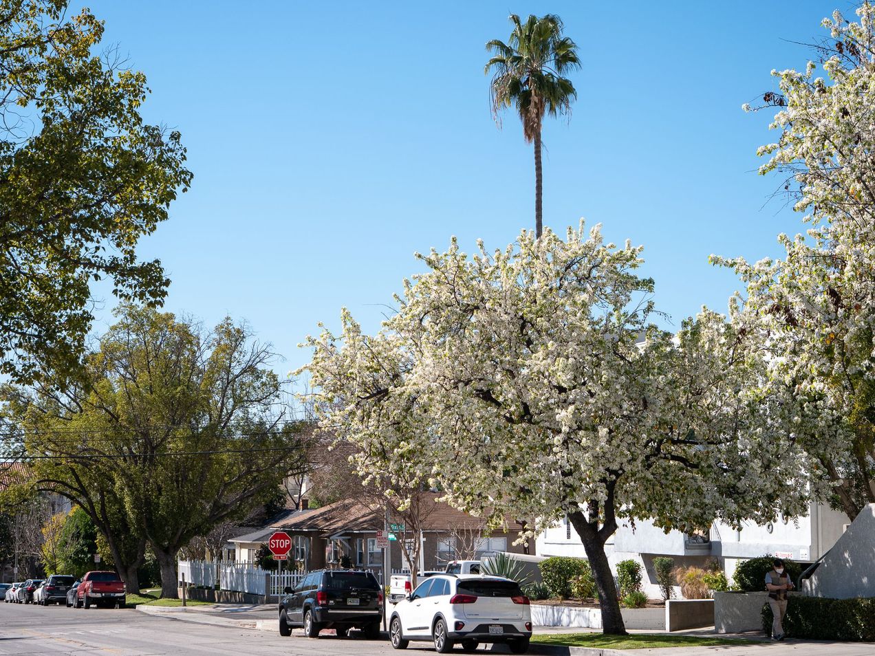 Make Every Day More and More of Christ & Tonight: Drop-In Game Night!