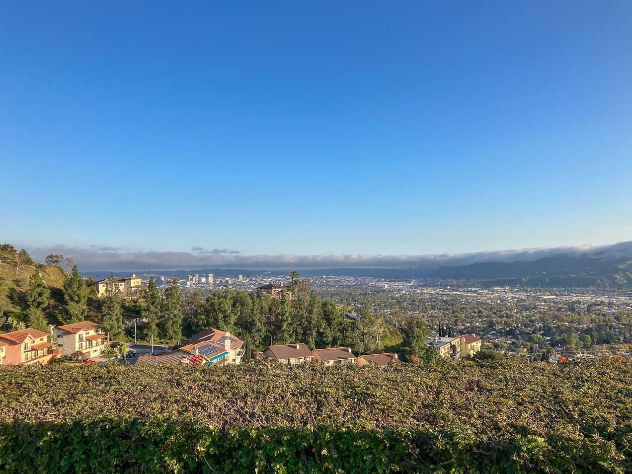 Tonight! An Opportunity to Love Burbank