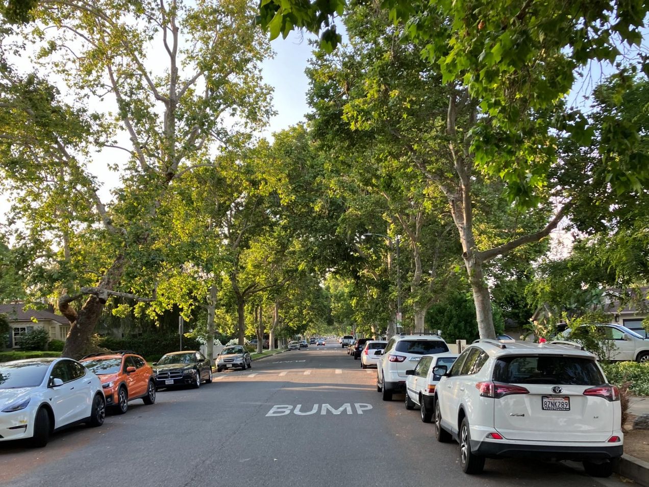 Service Opportunities This Week