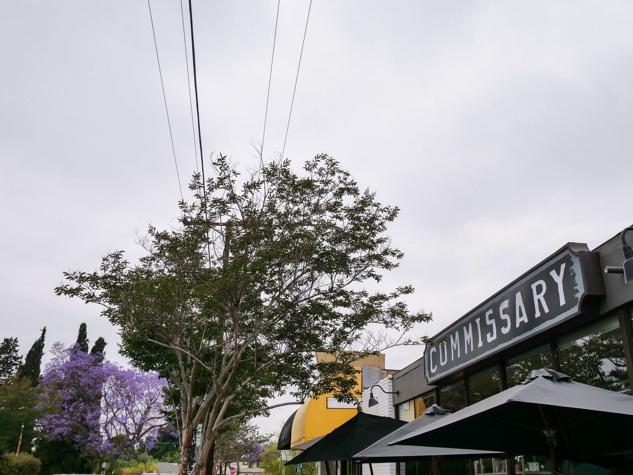 Opportunities to Glorify God in the Community