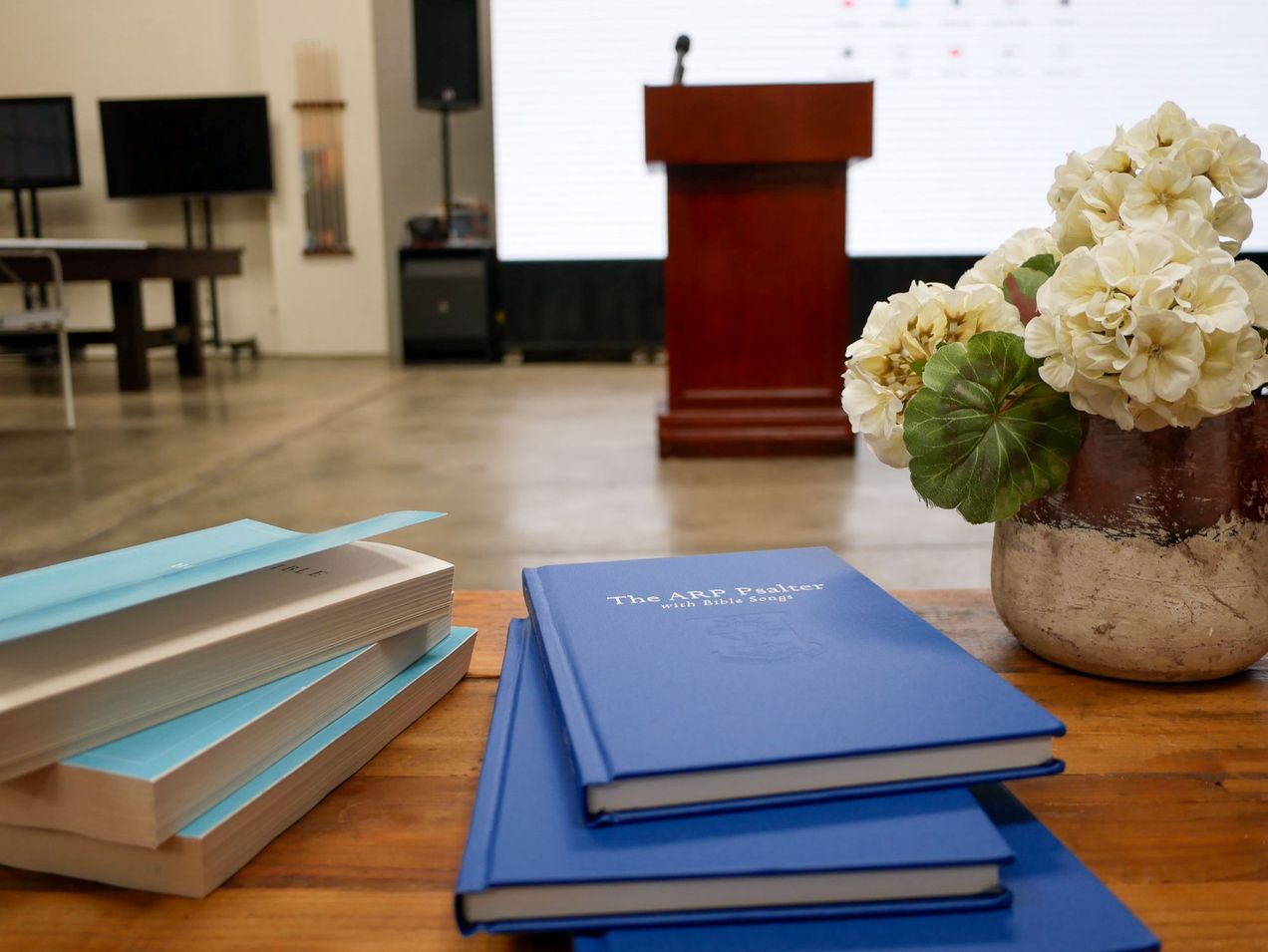 Worship & Fellowship this Sunday!