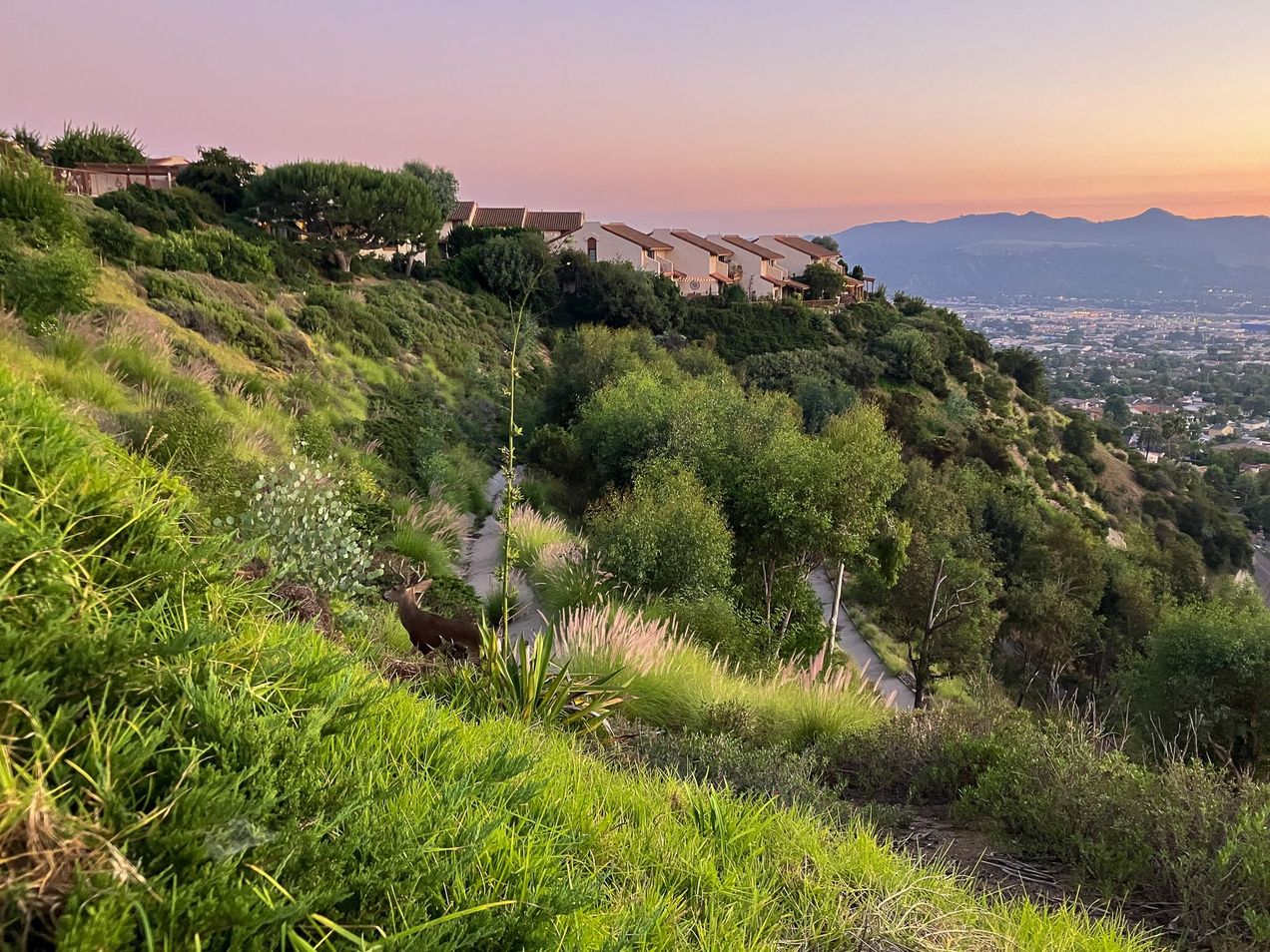 Gathering with God's People Tomorrow in Worship