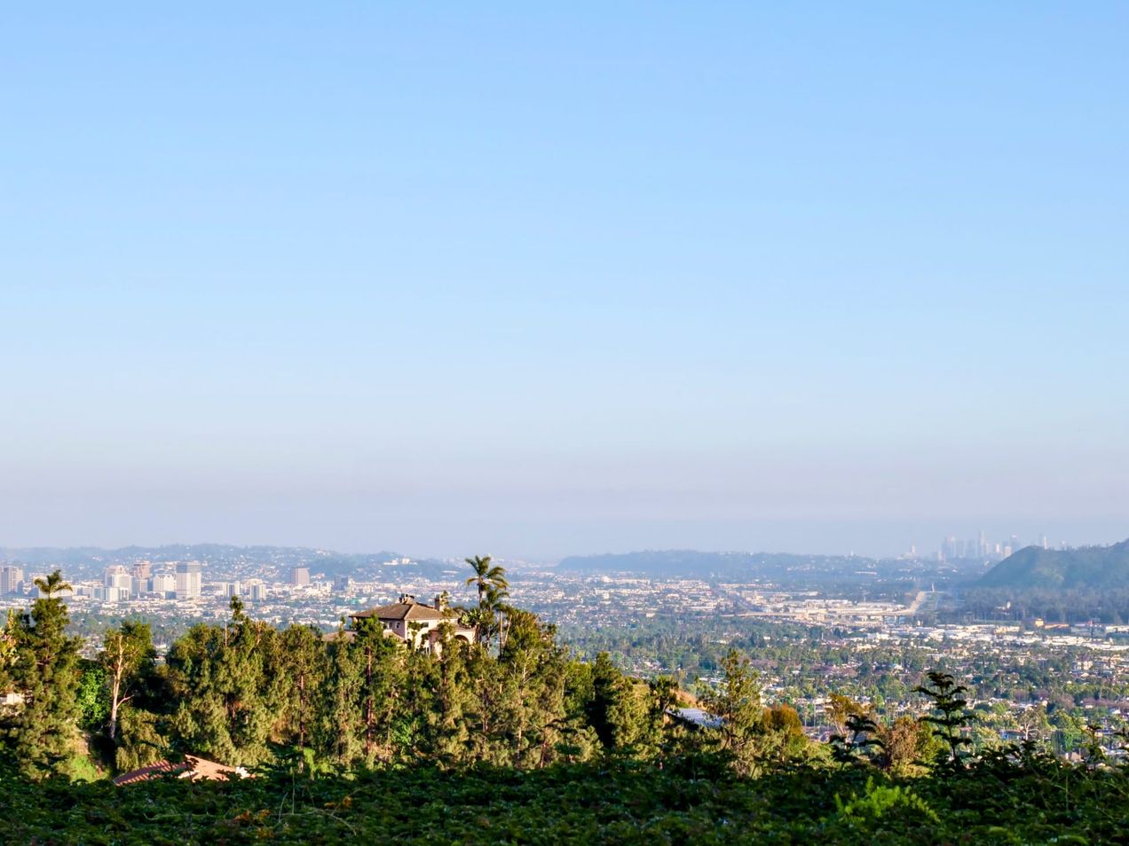 Covenant Church — Morning & Evening Worship: July 21, 2024