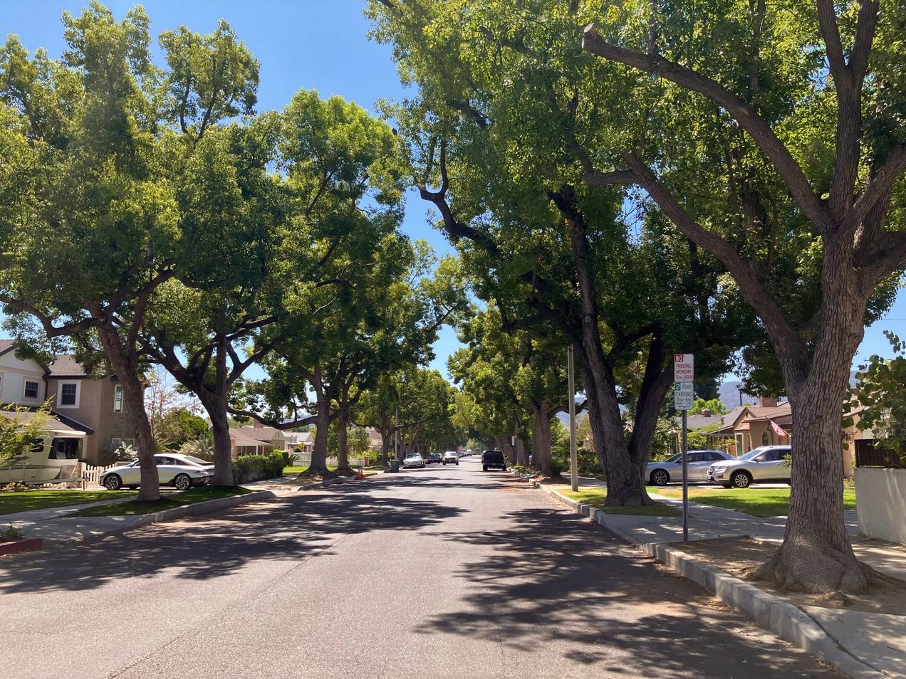 Covenant Church — Morning Worship: August 11, 2024