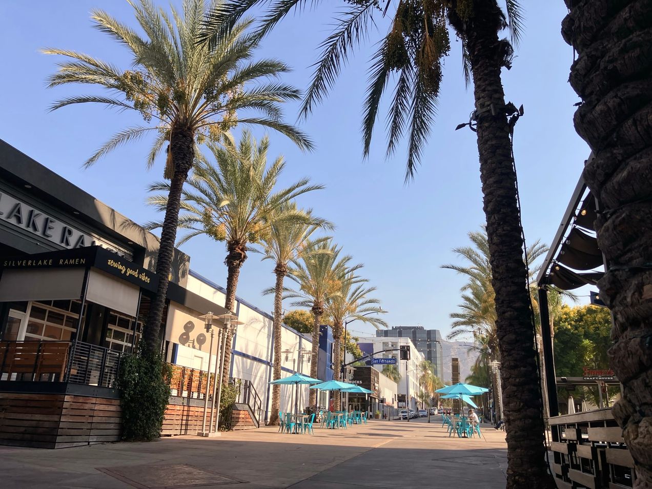 Covenant Church — Morning & Evening Worship: October 6, 2024