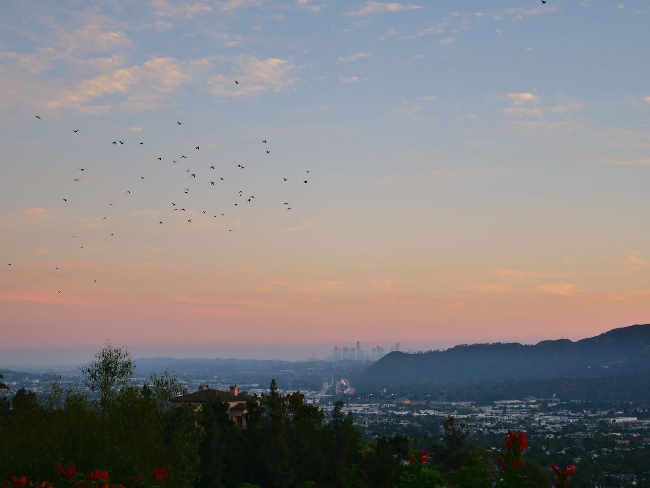 Covenant Church — Morning & Evening Worship: October 13, 2024