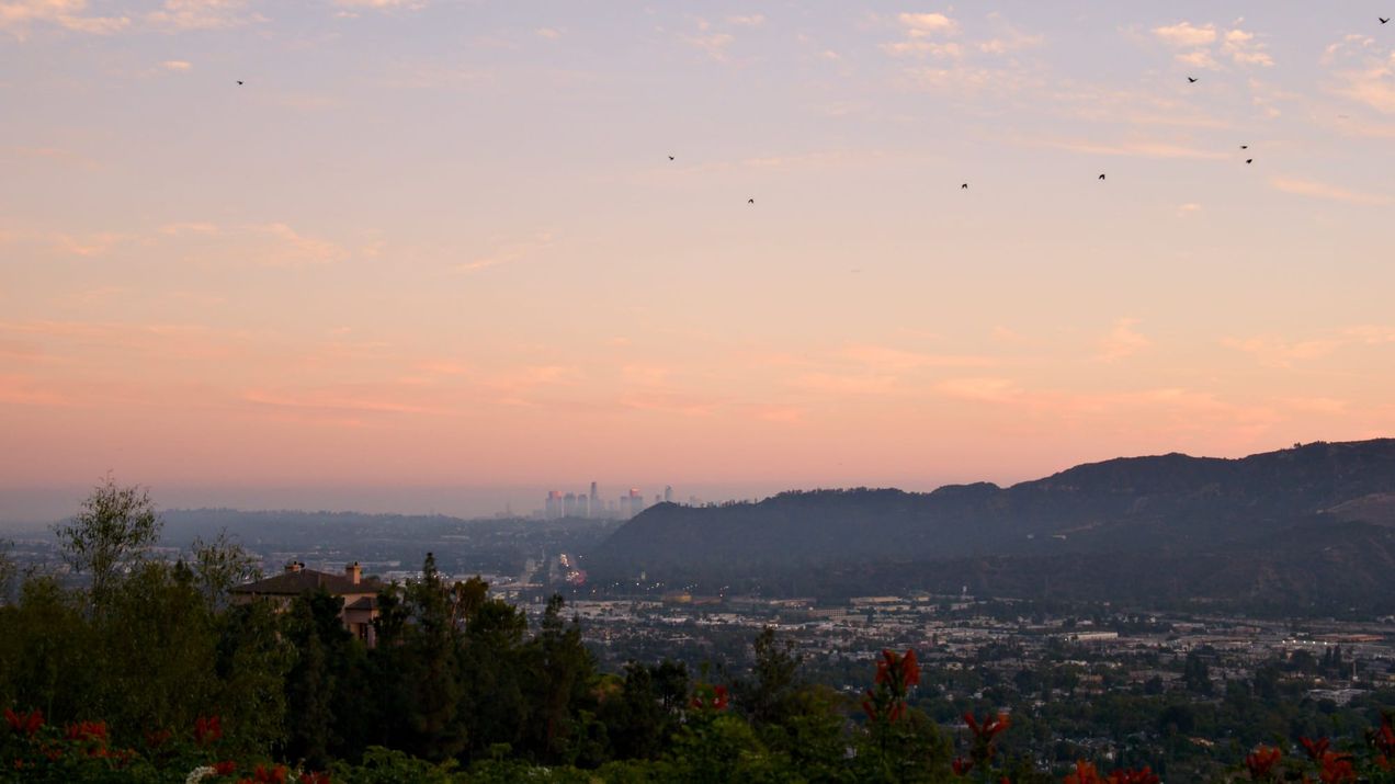 Covenant Church — Morning & Evening Worship: November 3, 2024