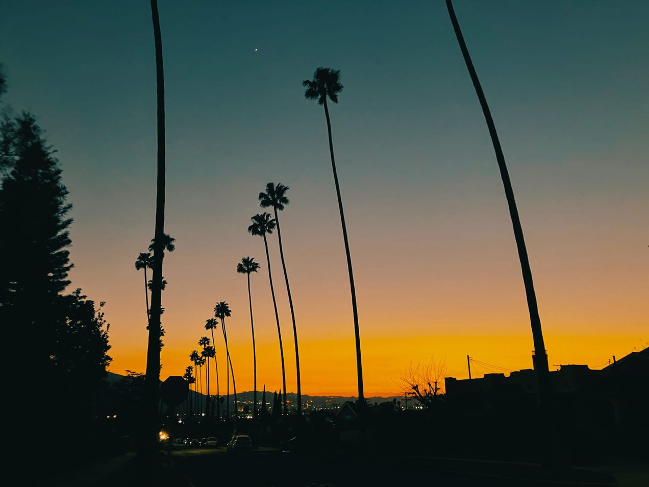 Looking Forward to Many Things