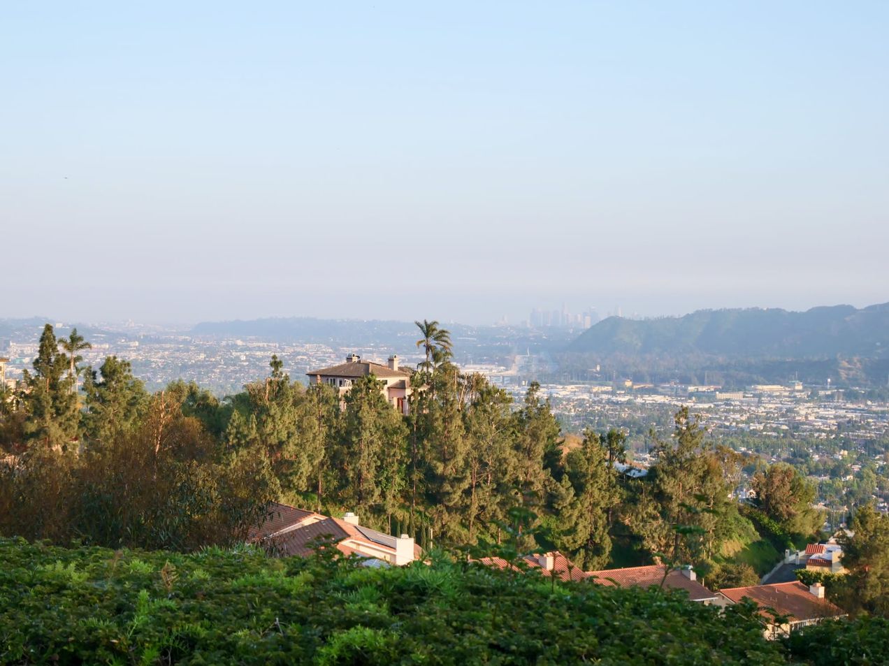 The First Sunday of 2025!