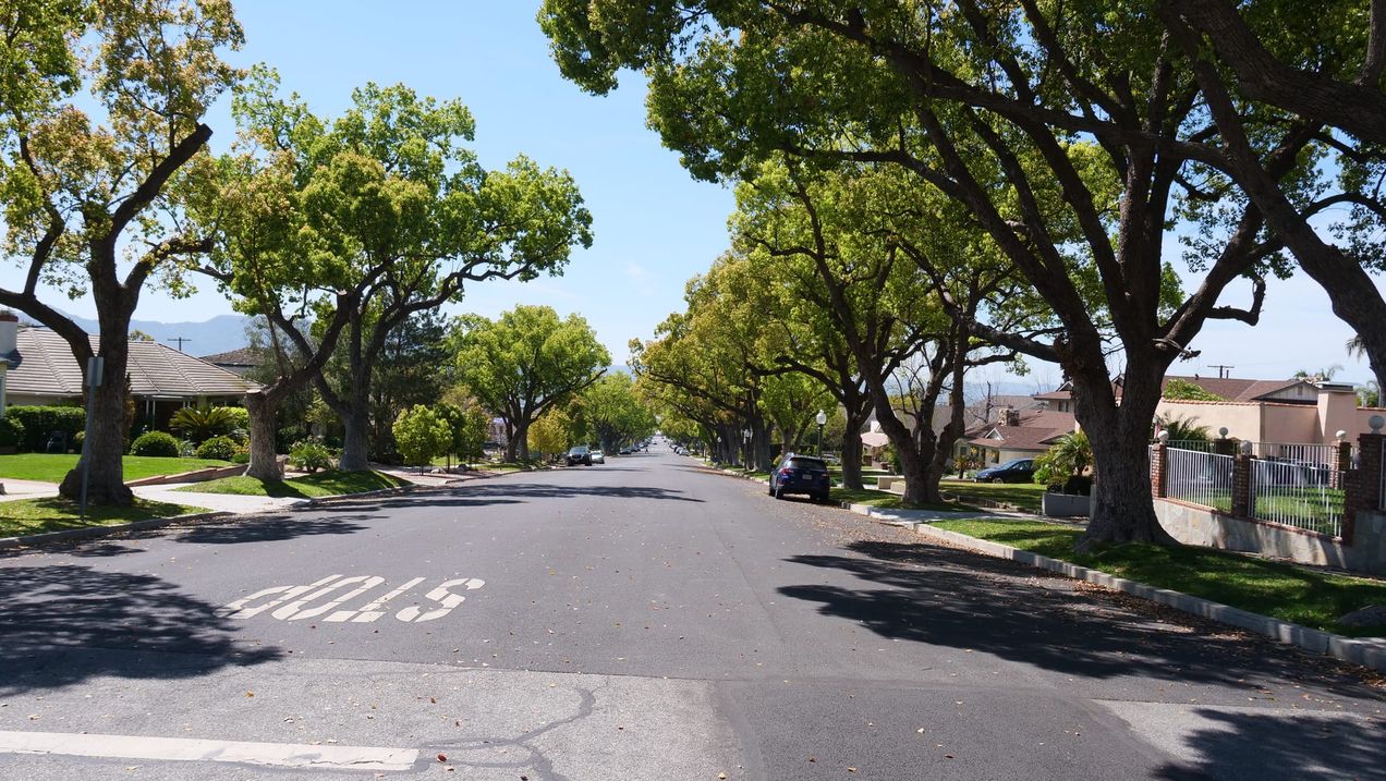 The Lord's Day: Tomorrow!