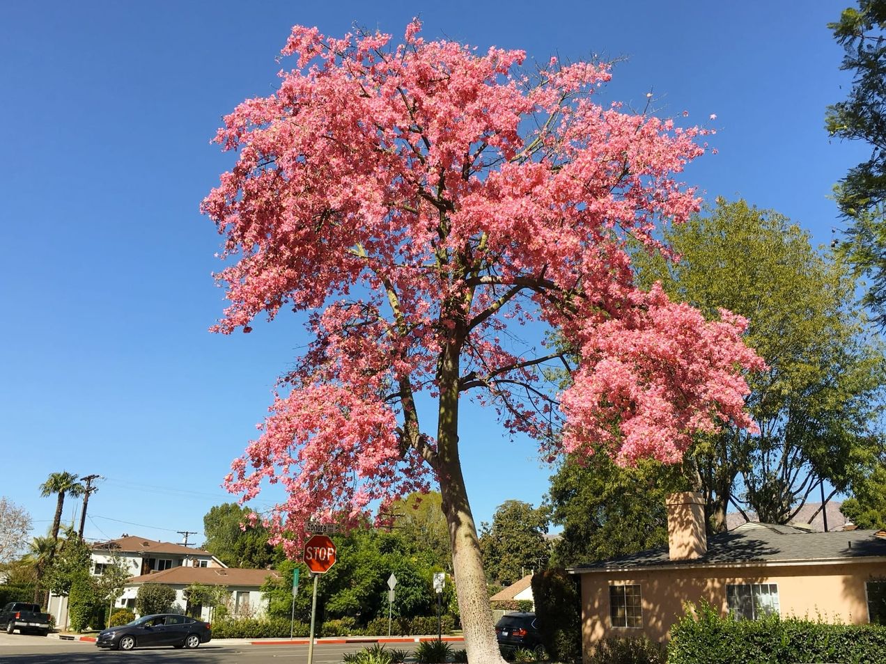 Covenant Church — Morning & Evening Worship: October 26, 2025