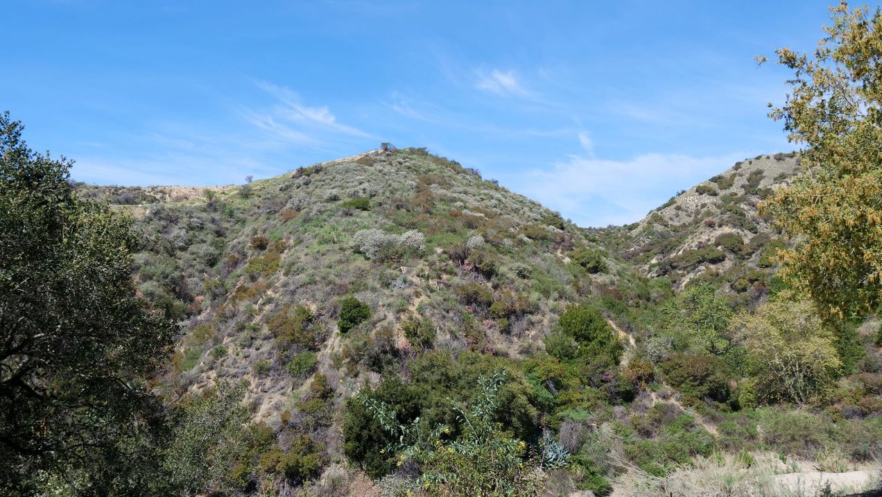 Covenant Church — Morning & Evening Worship: November 2, 2025