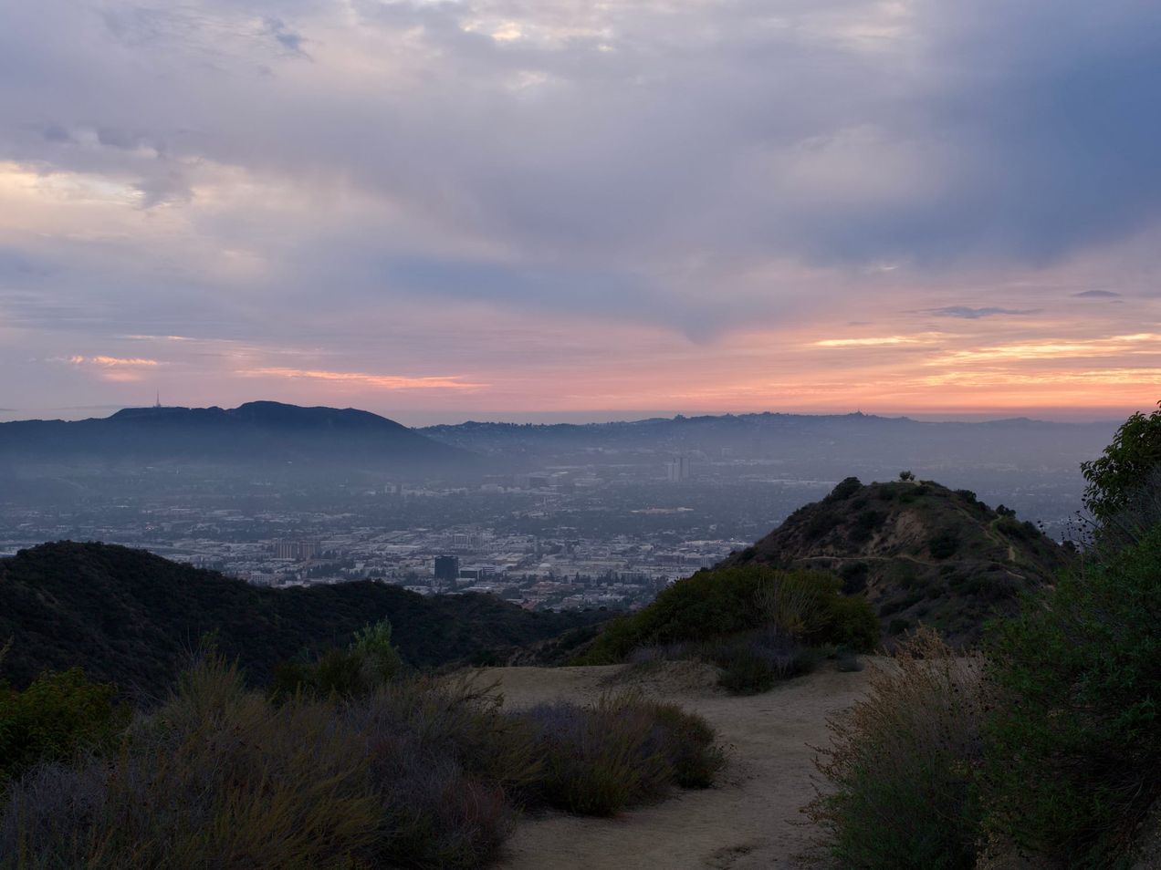 Food Drive — This Sunday