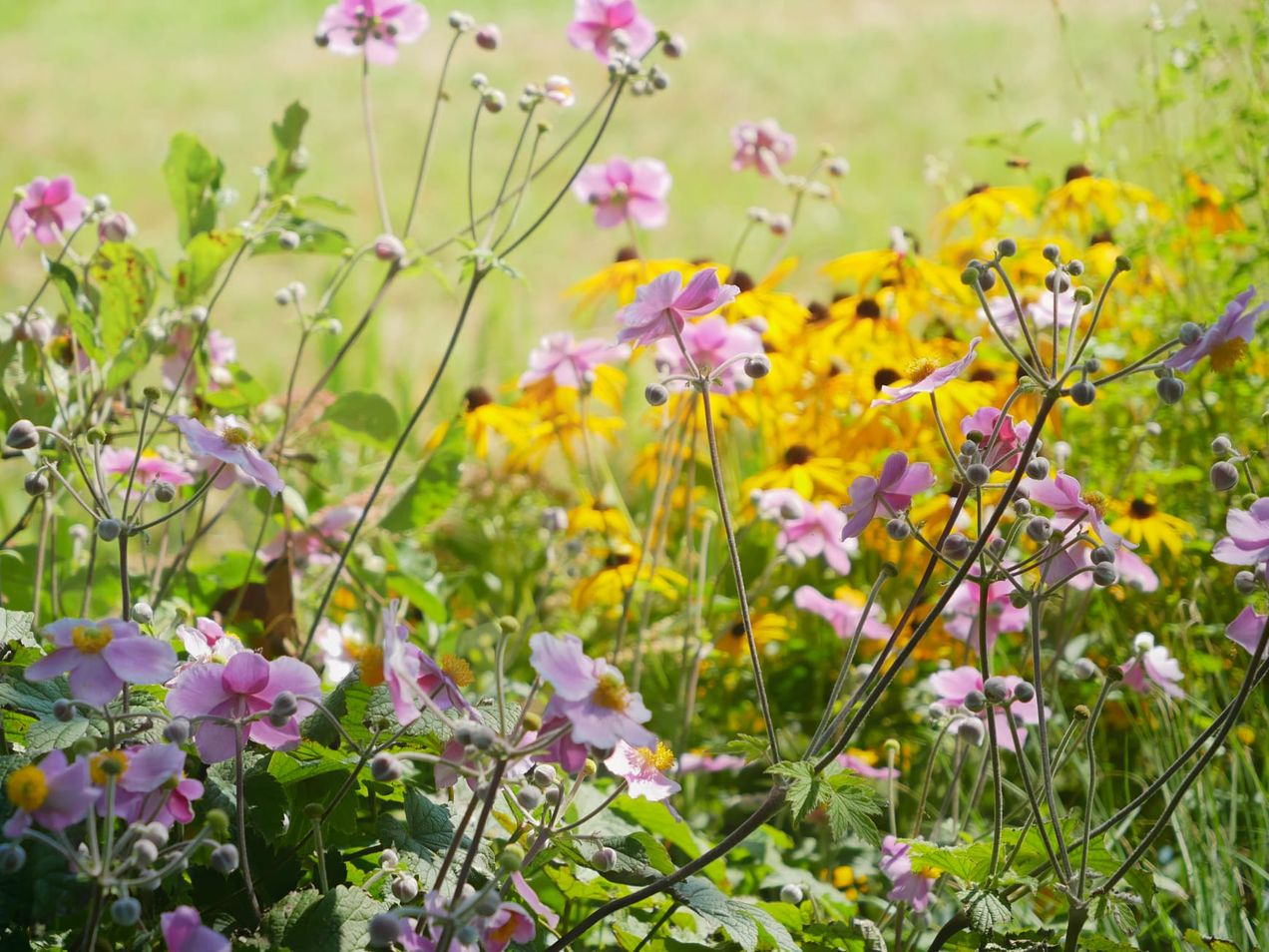 Ladies Fellowship & Study at 7 PM this Evening!