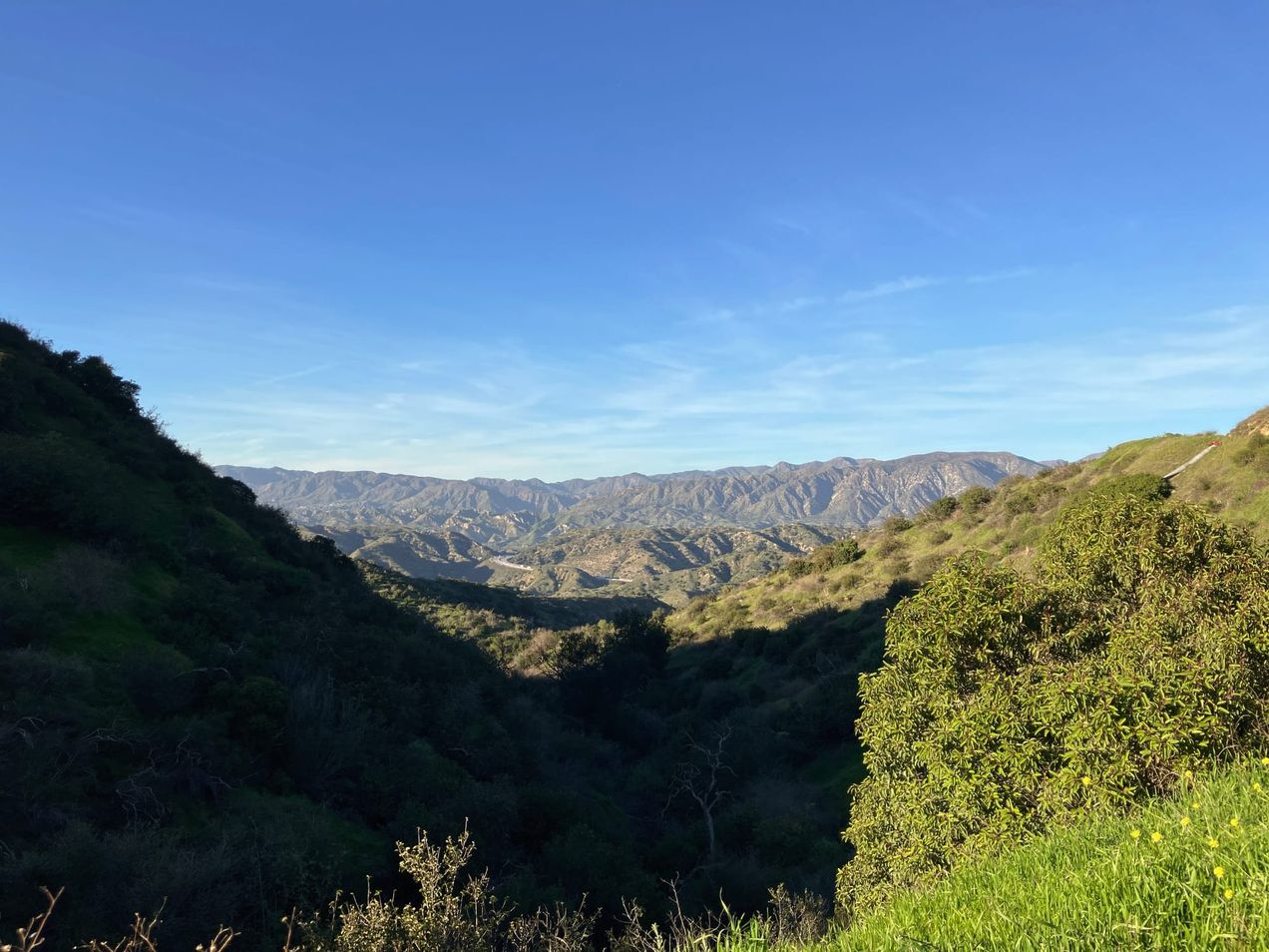 Sign-Up & Info for This Sunday!