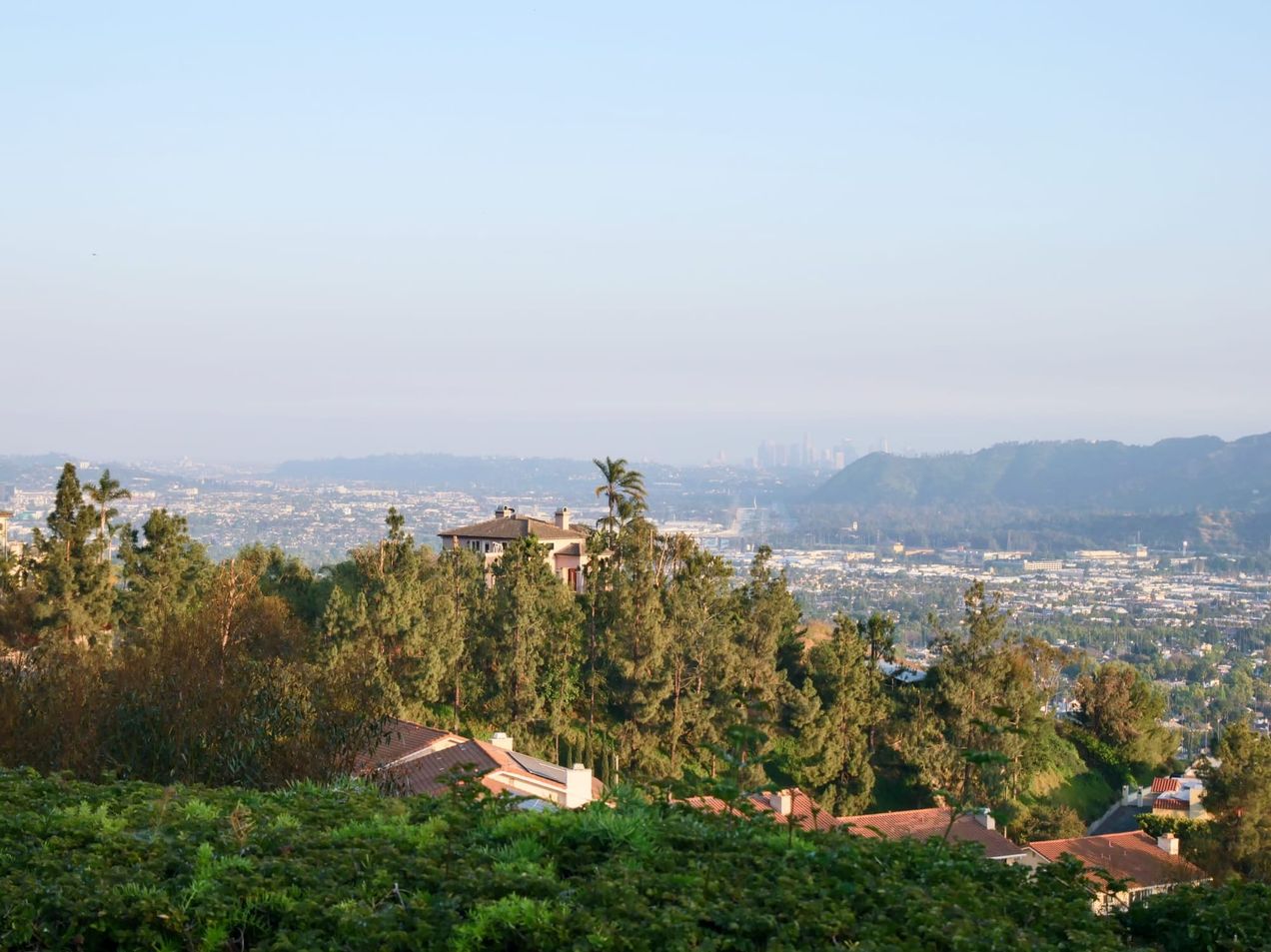 New, New, New in Christ