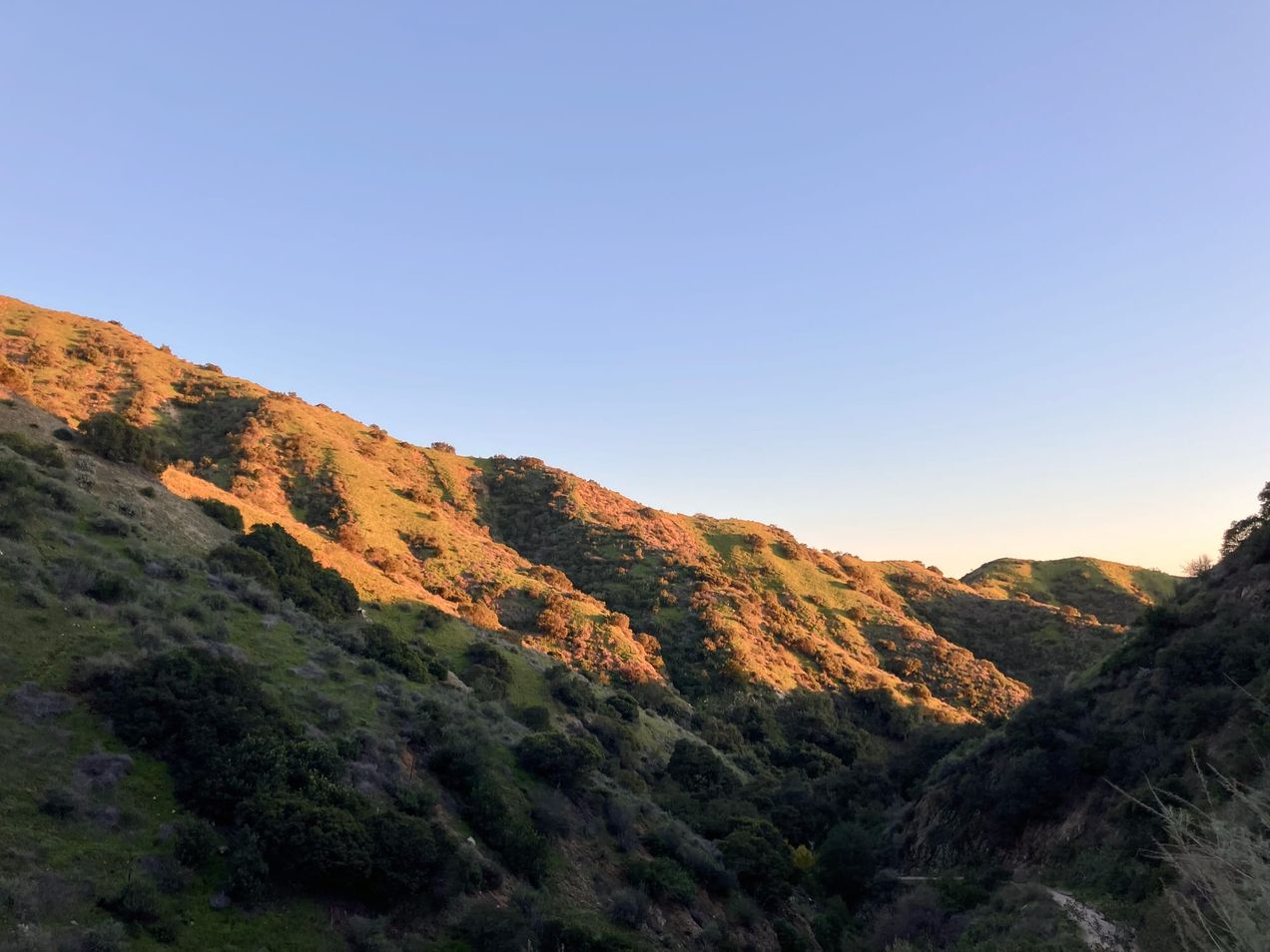 Covenant Church — Morning & Evening Worship: January 11, 2026