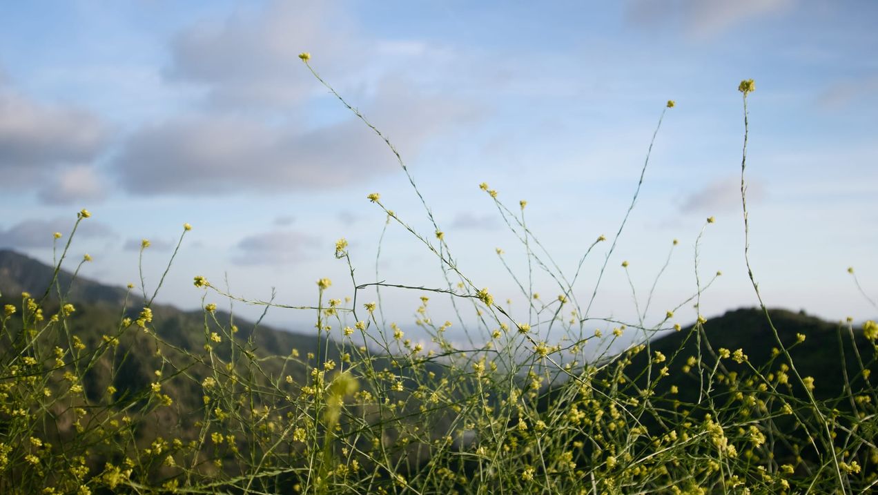 Sunday: The Best Day of the Week