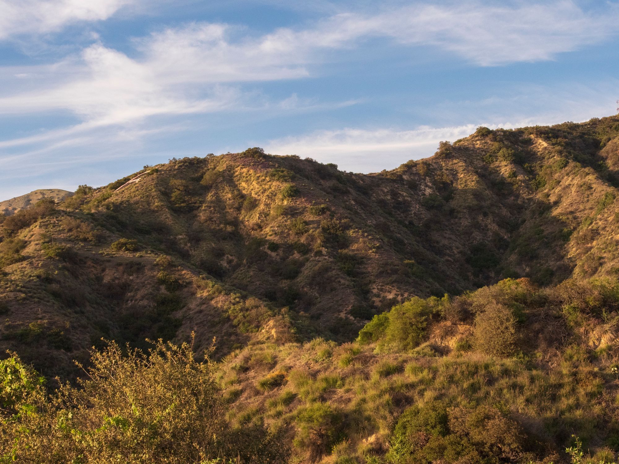Photo of a hill above Burbank in the Verdugo Mountains. Sideways glimpse of the "Burbank B."