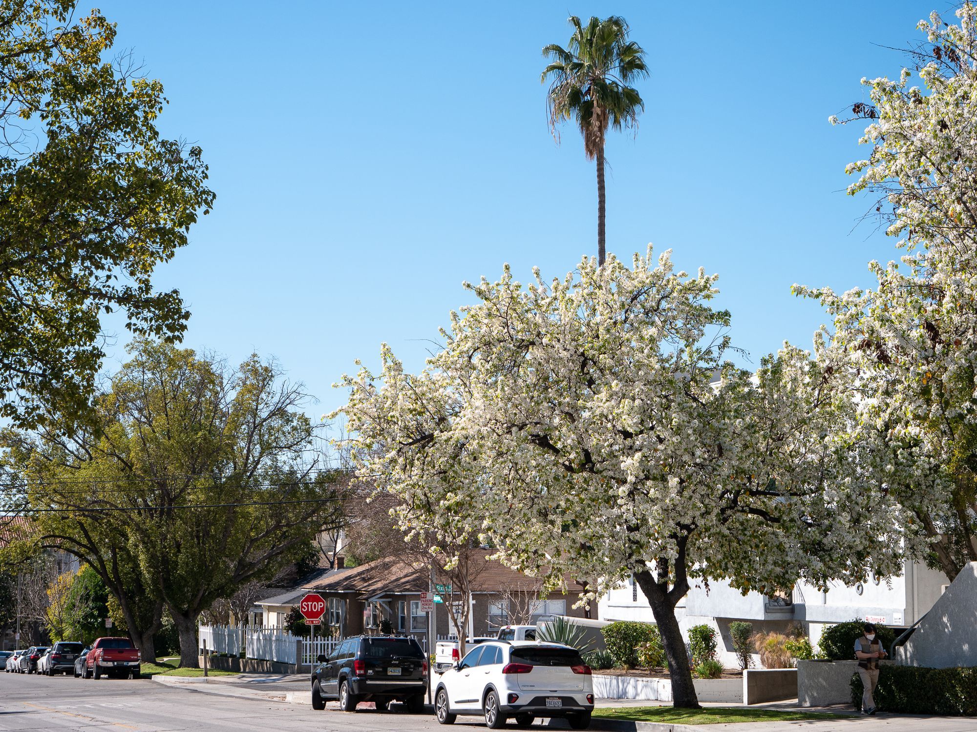 Make Every Day More and More of Christ & Tonight: Drop-In Game Night!