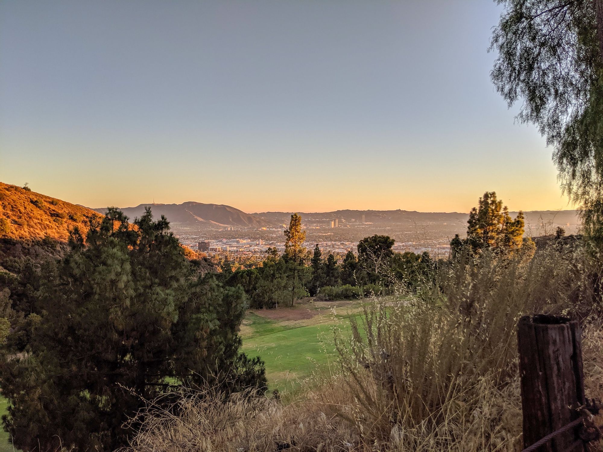 Worship This Sunday!