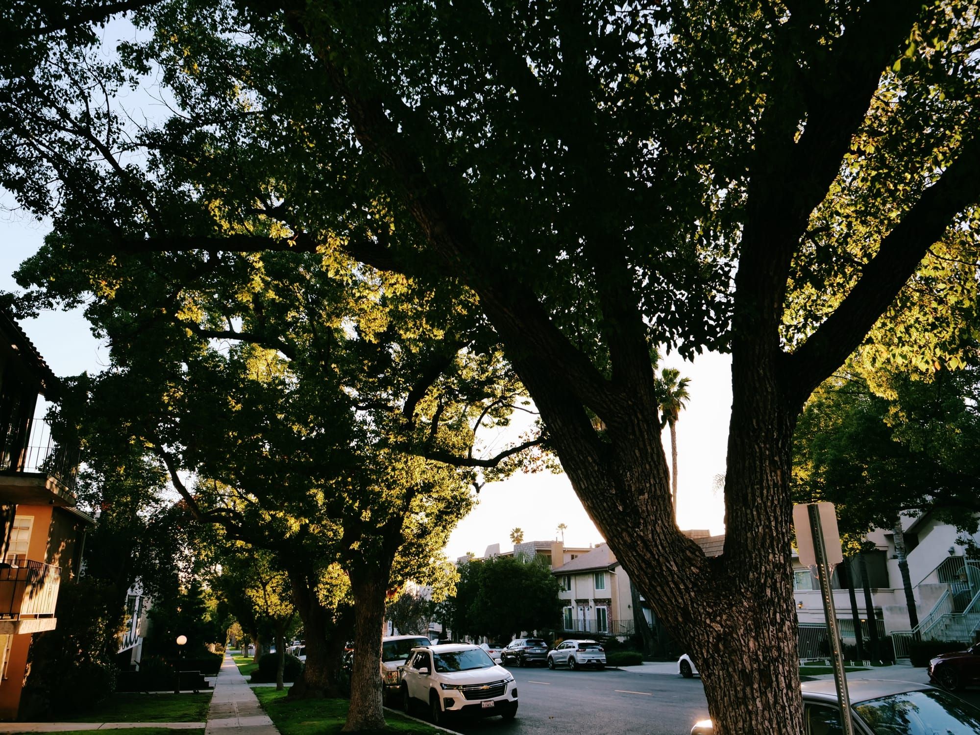 Exciting Upcoming Events!