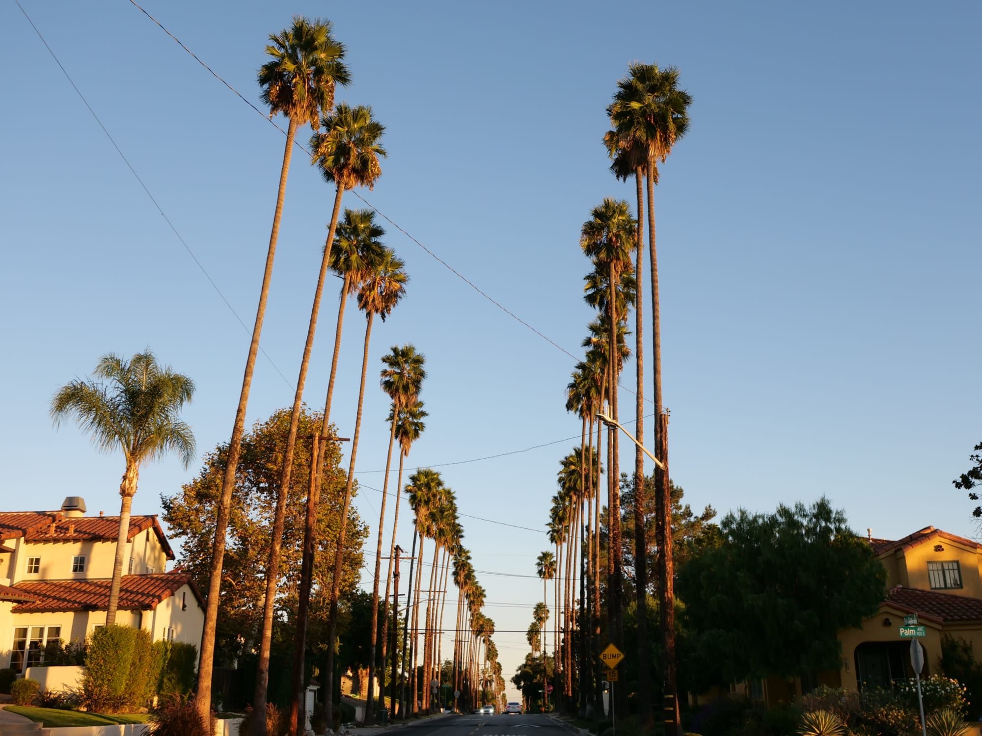 "Palm Sunday" Worship