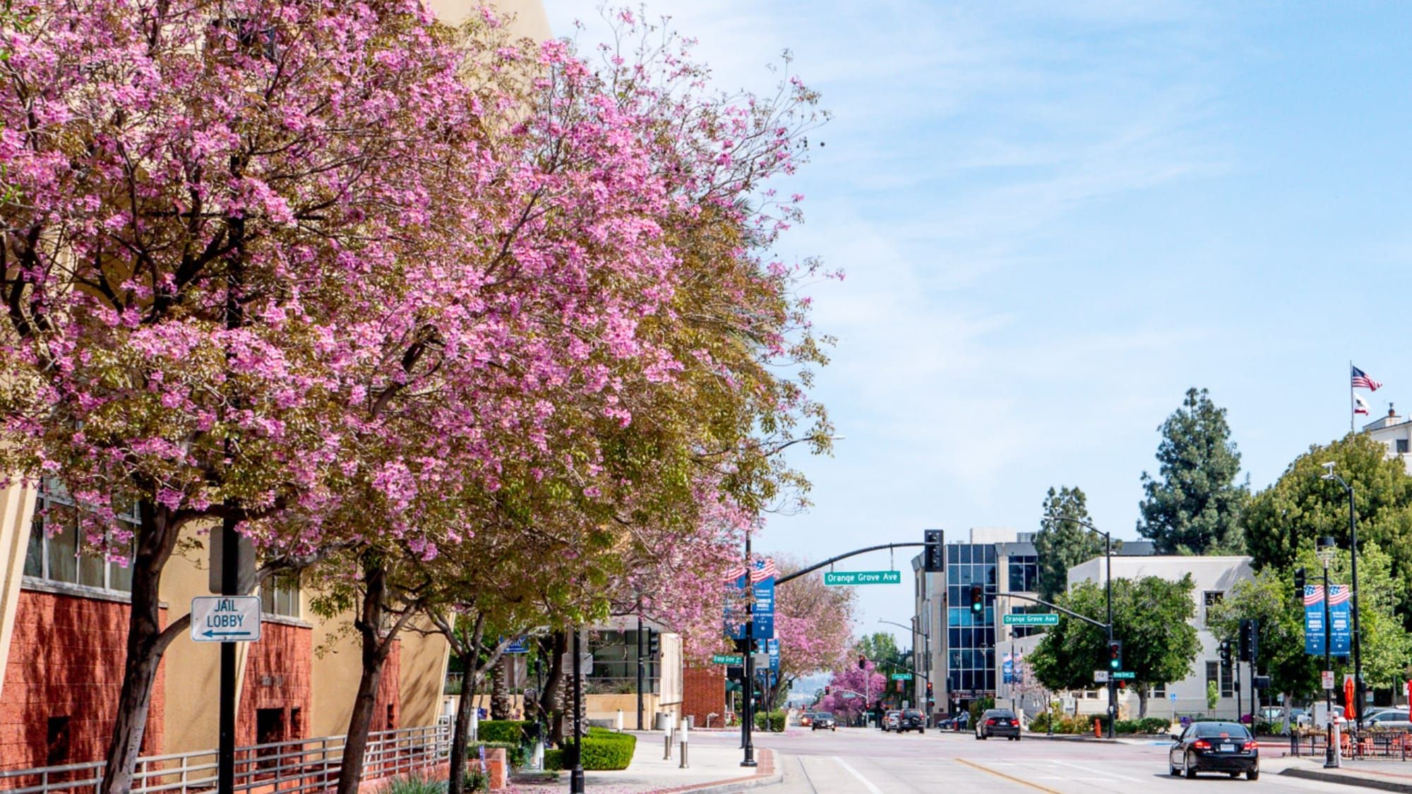 Covenant Church — Morning & Evening Worship: May 26, 2024