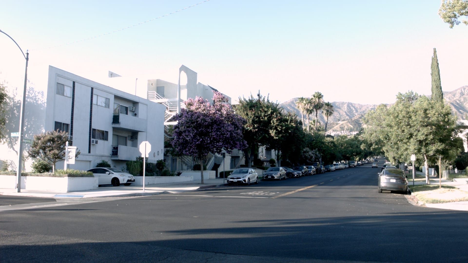 Covenant Church — Morning & Evening Worship: August 18, 2024