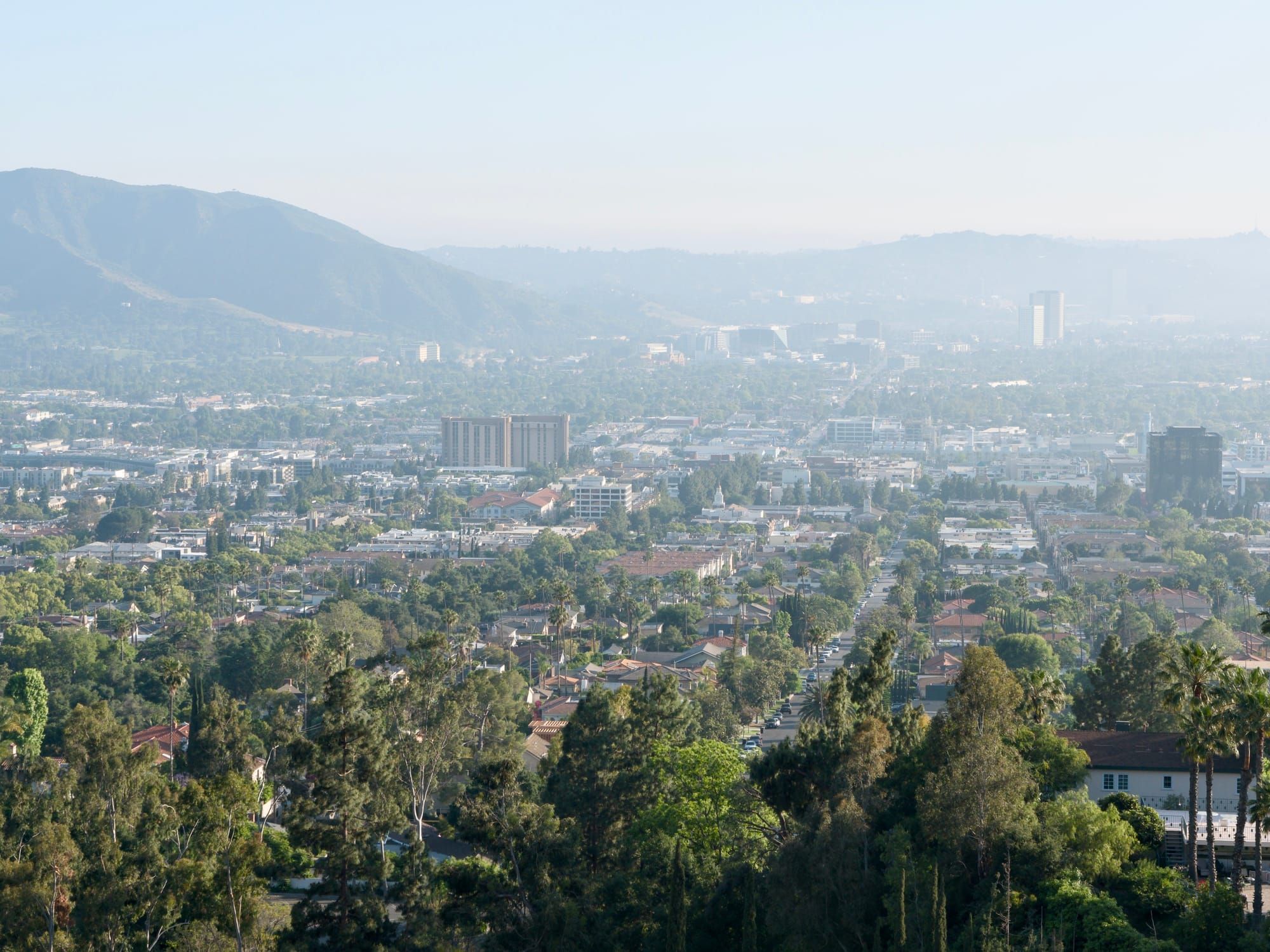 Tonight: Conference! Tomorrow: Morning & Evening Worship