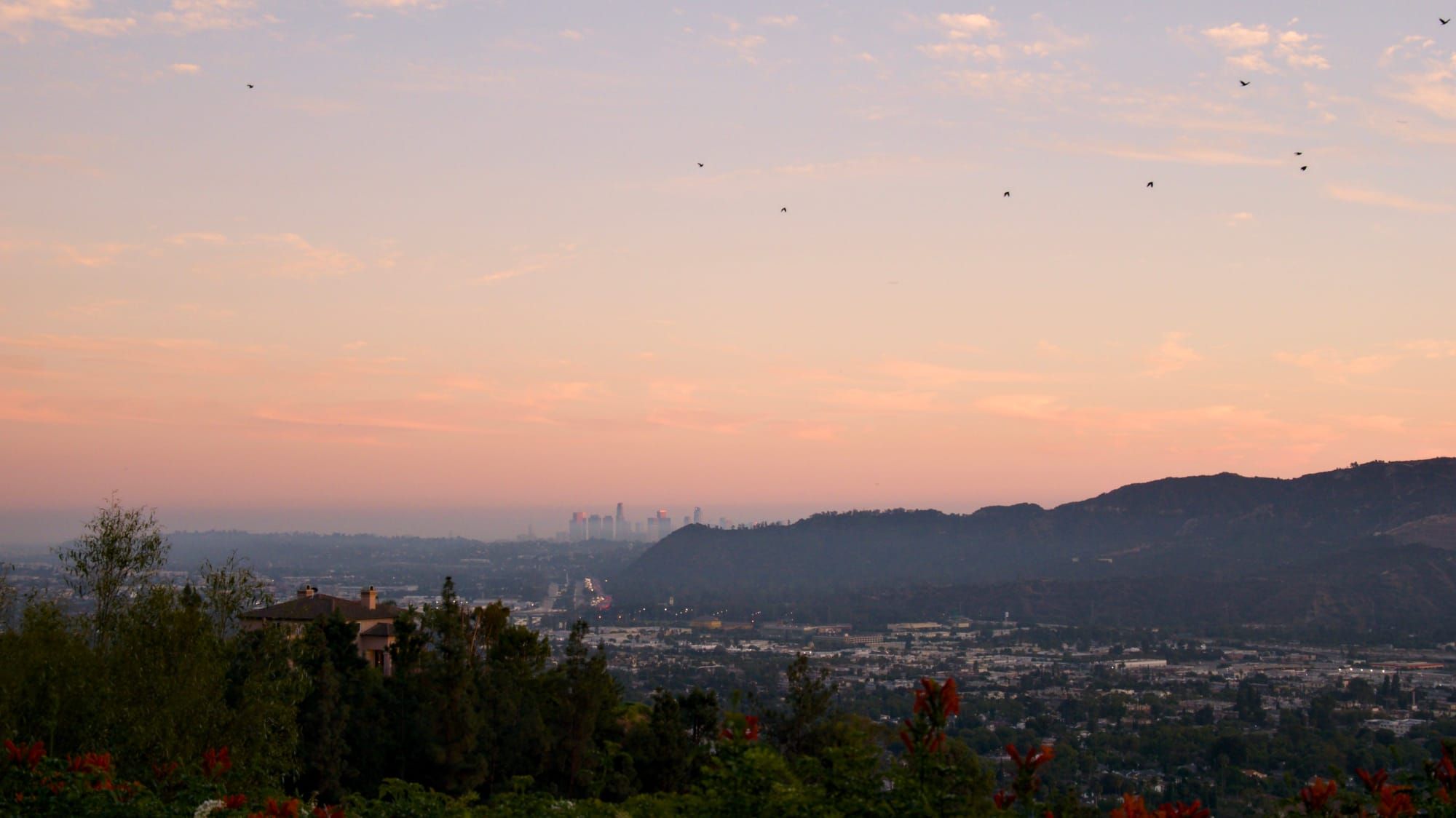 Covenant Church — Morning & Evening Worship: November 3, 2024