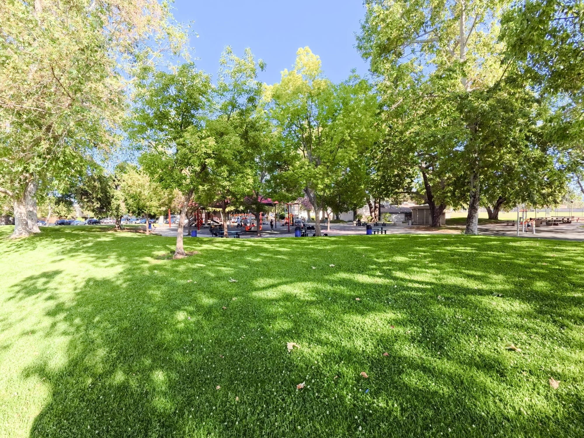 All the Details for This Saturday!