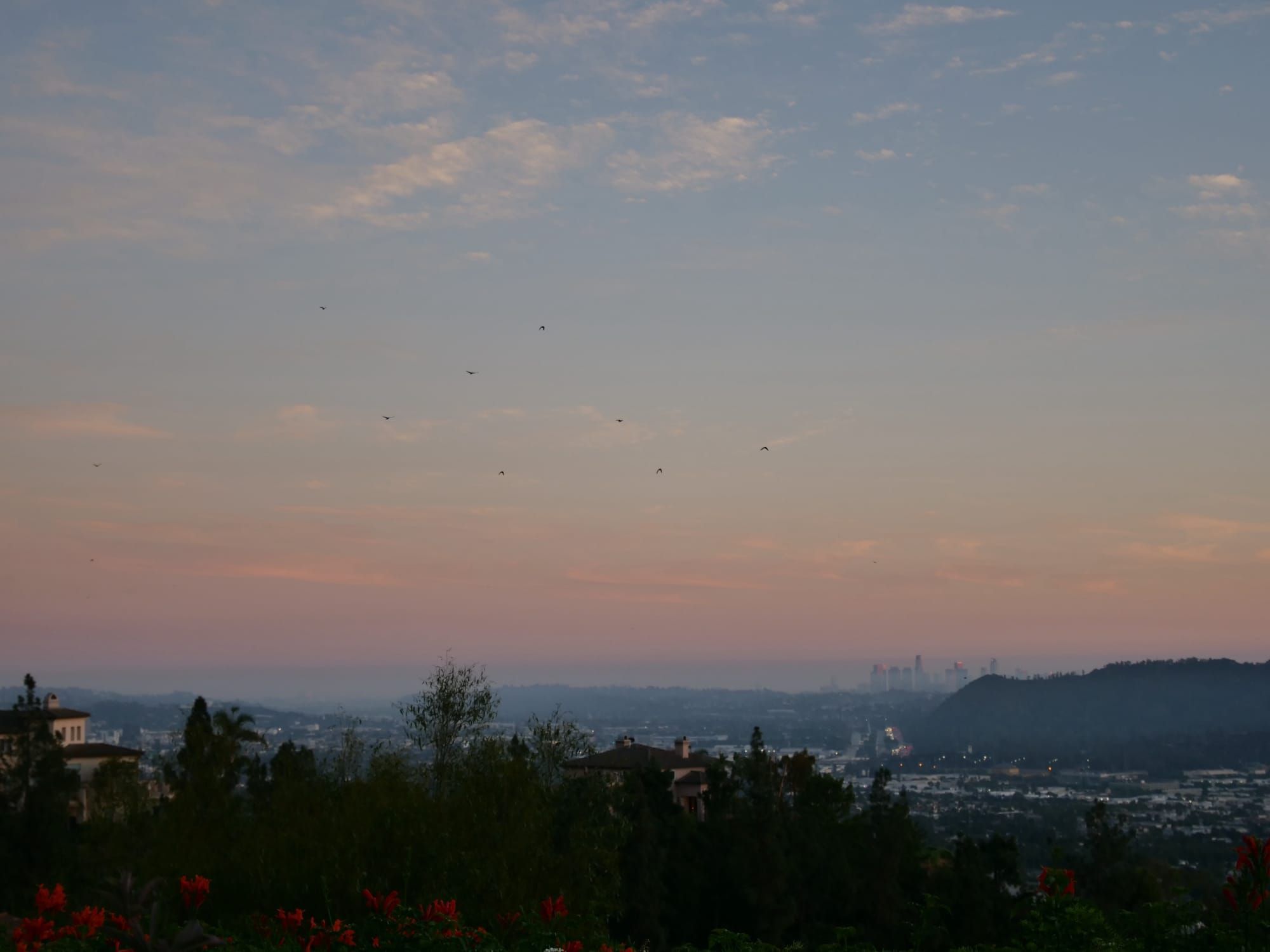 Soul & Body: Nourished Tomorrow