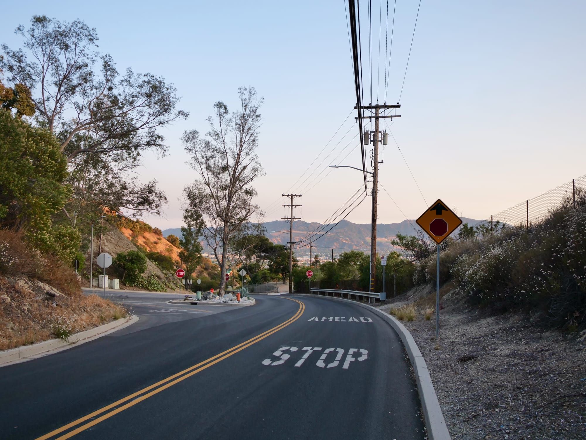 A Special Sunday: Tomorrow!