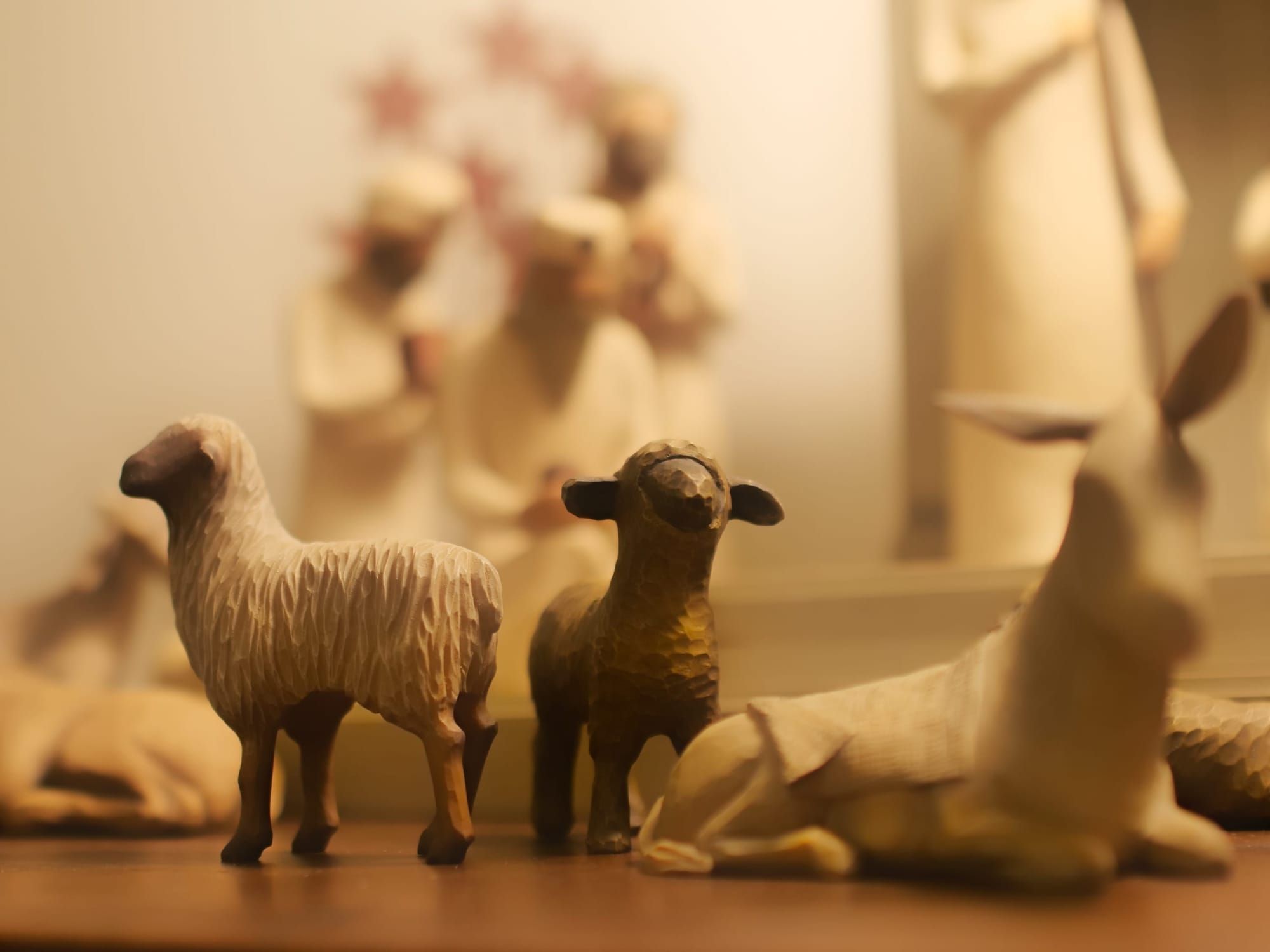 Covenant Church — Morning & Evening Worship: December 21, 2025