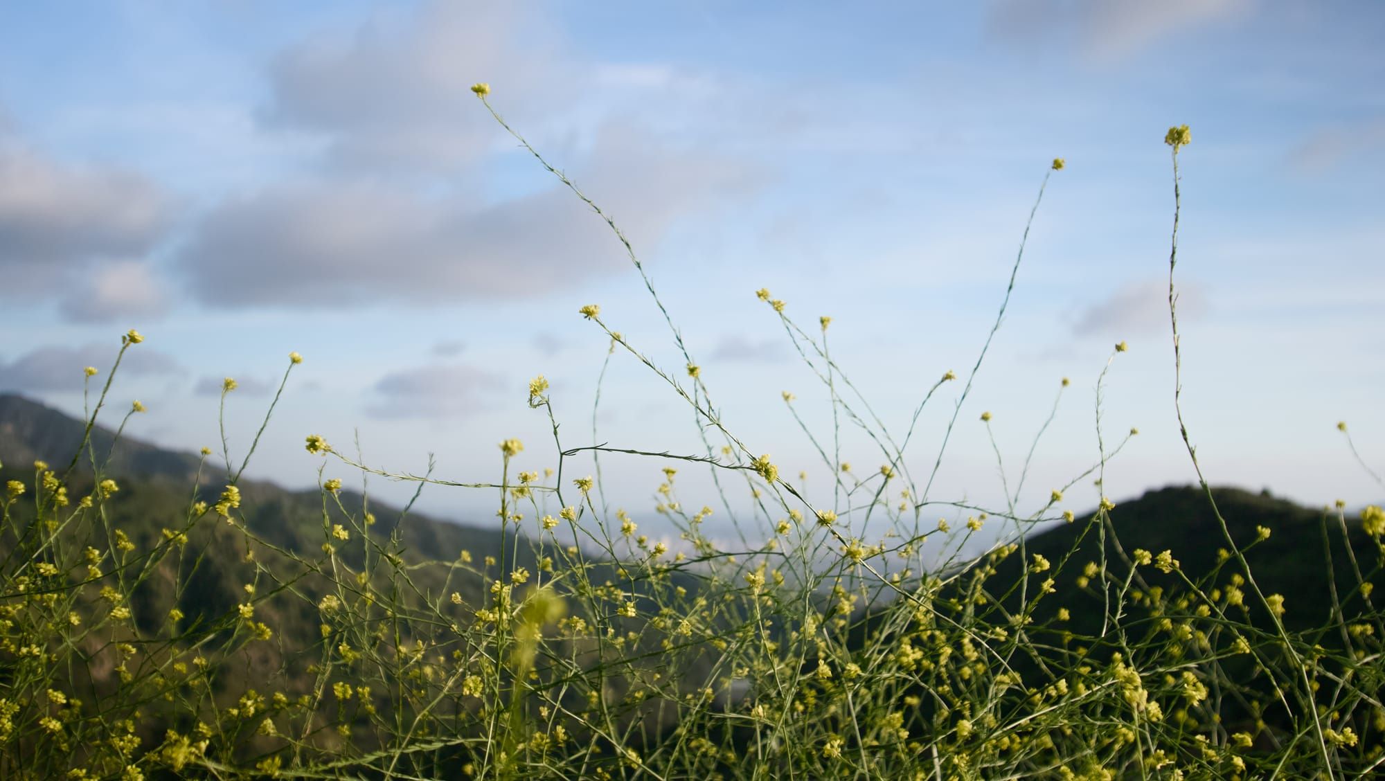 Sunday: The Best Day of the Week