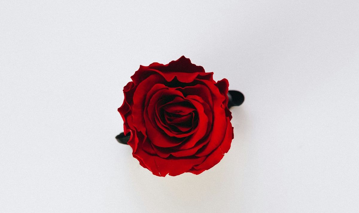 How has your experience been so far?