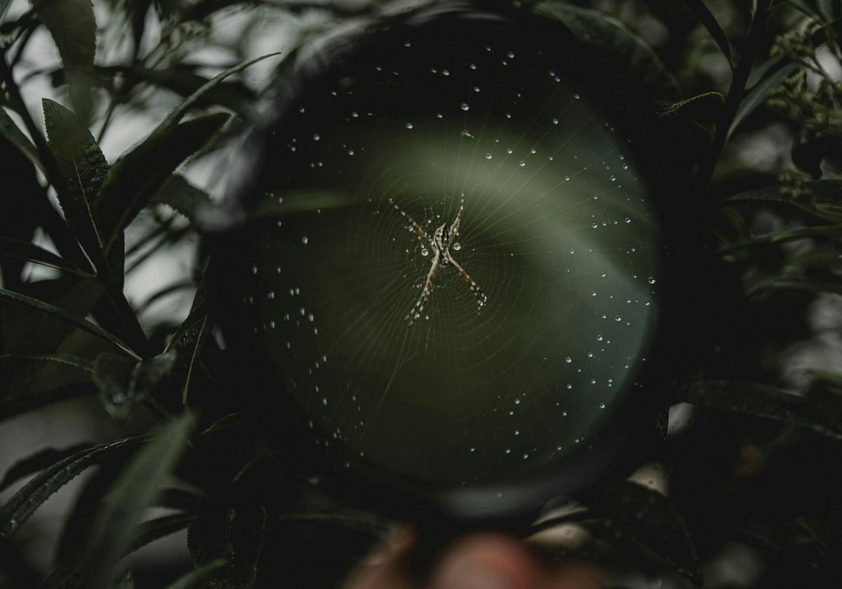 Youtube clips & resources on UAPs & the Paranormal