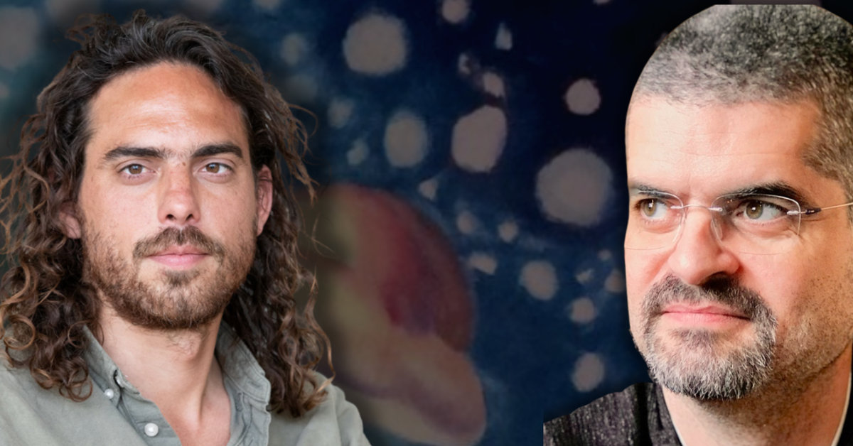 DMT & the nature of reality