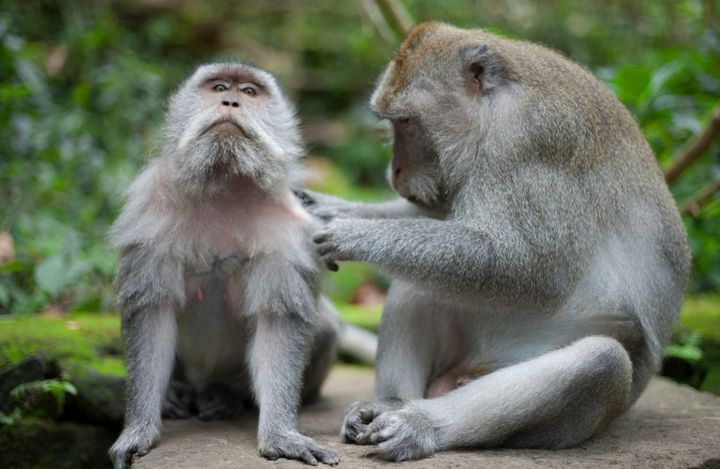 Thurs 6th Feb - Members' meeting + Focus Groups