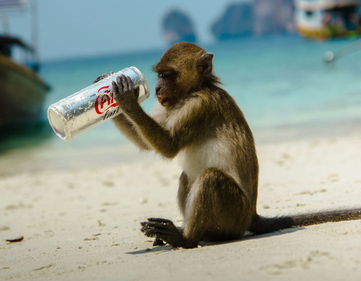 How to follow your daimon