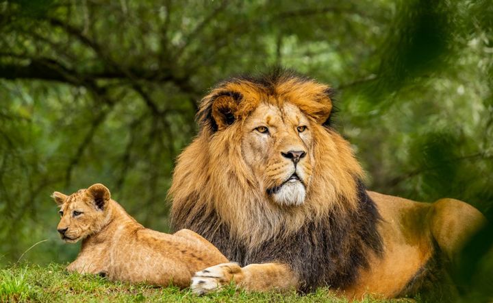 Ethics & living your life to its full