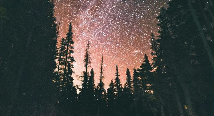 Mind at Large vs Universal Consciousness